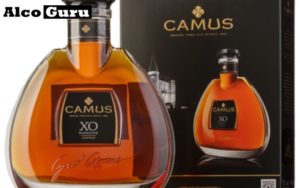 Camus
