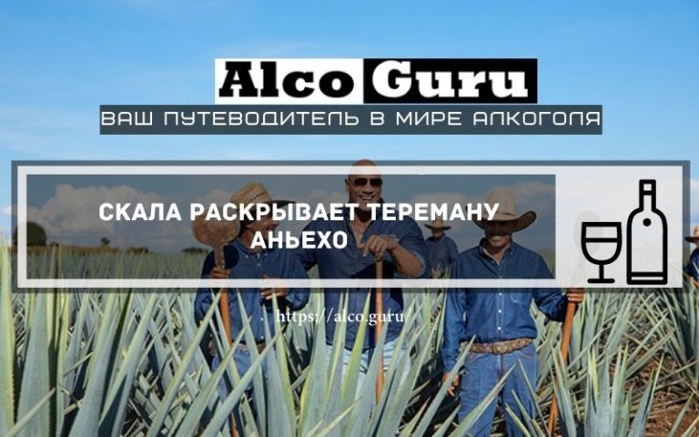 Скала раскрывает Тереману Аньехо